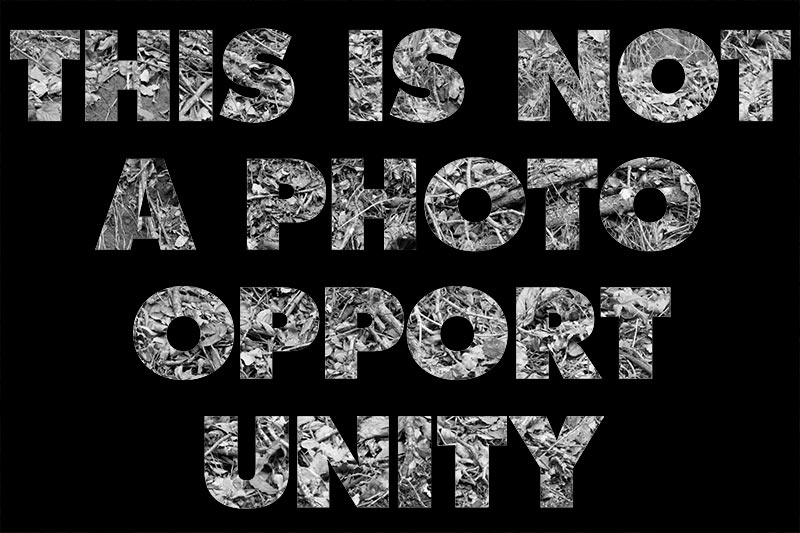 photograph