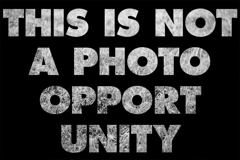 photograph