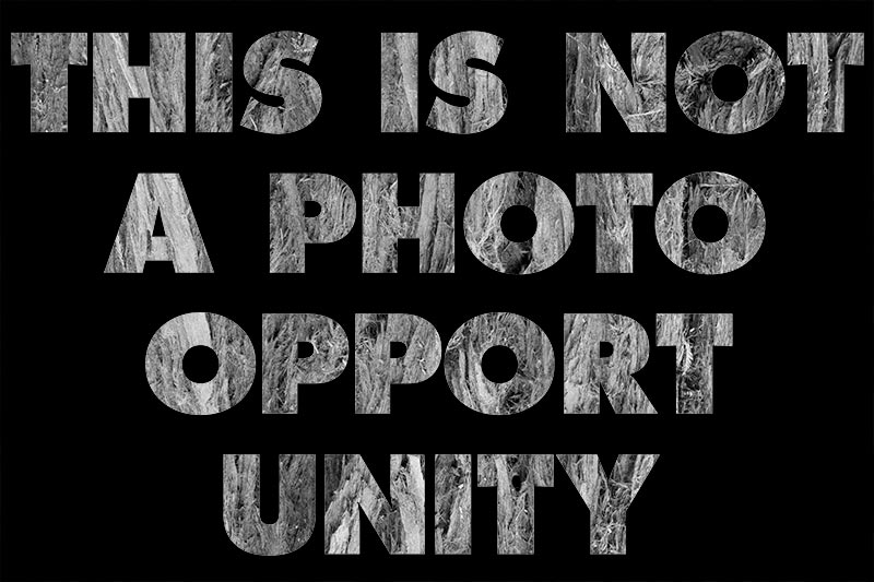 photograph