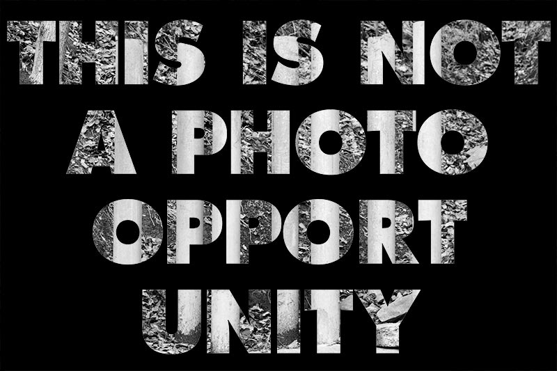 photograph