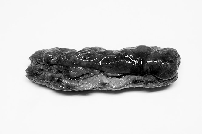 photograph